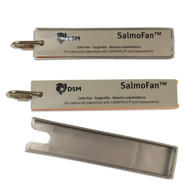 SALMO Color Fan – พัดสีมาตรฐานสำหรับเทียบสี รูปที่ 4