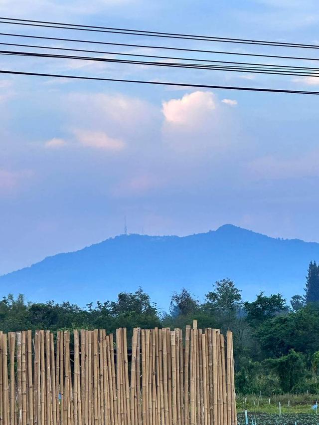 ที่ดิน ปากช่อง เขาใหญ่ โฉนดครุฑแดง 5