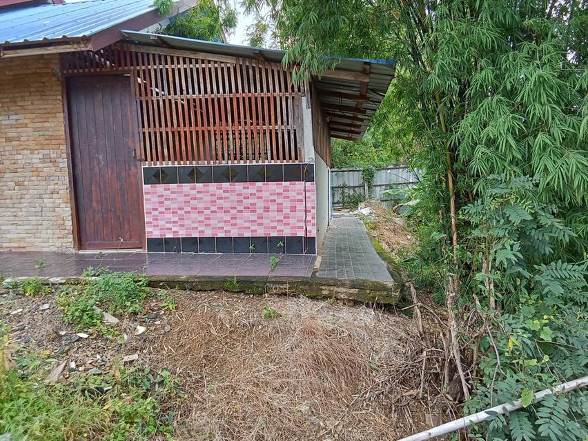 บ้านเดี่ยววิวสวยทำเรดี ขนาด 150 ตรว 9