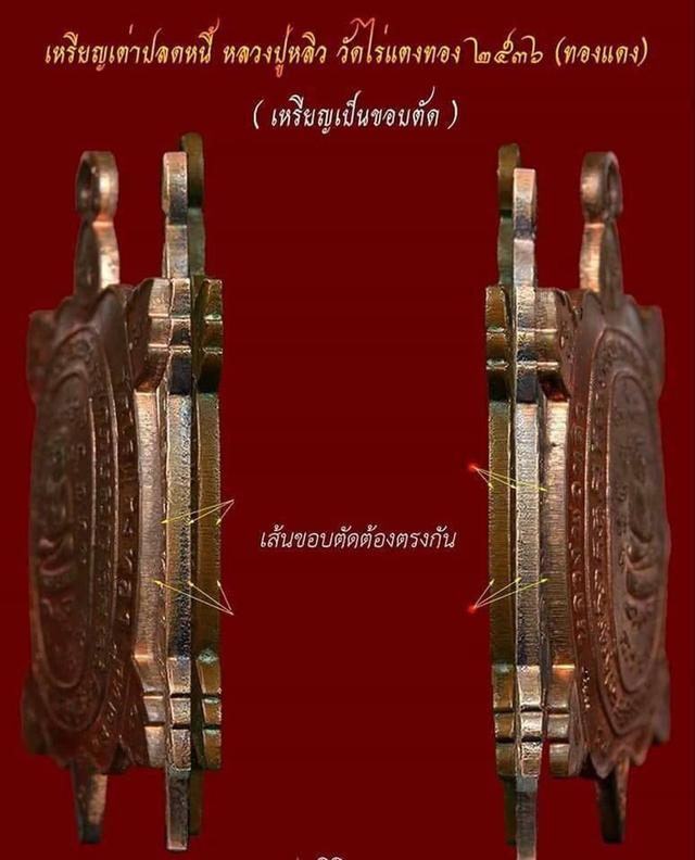 เหรียญพญาเต่าเรือน รุ่นปลดหนี้หลวงพ่อหลิว วัดไร่แตงทอง (รุ่นแรก) เนื้อทองแดง 7