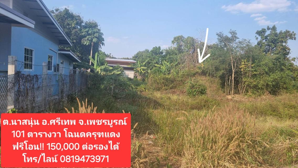 ที่ดินในชุมชนเหมาะสร้างบ้าน สาธารณูปโภคพร้อม 1