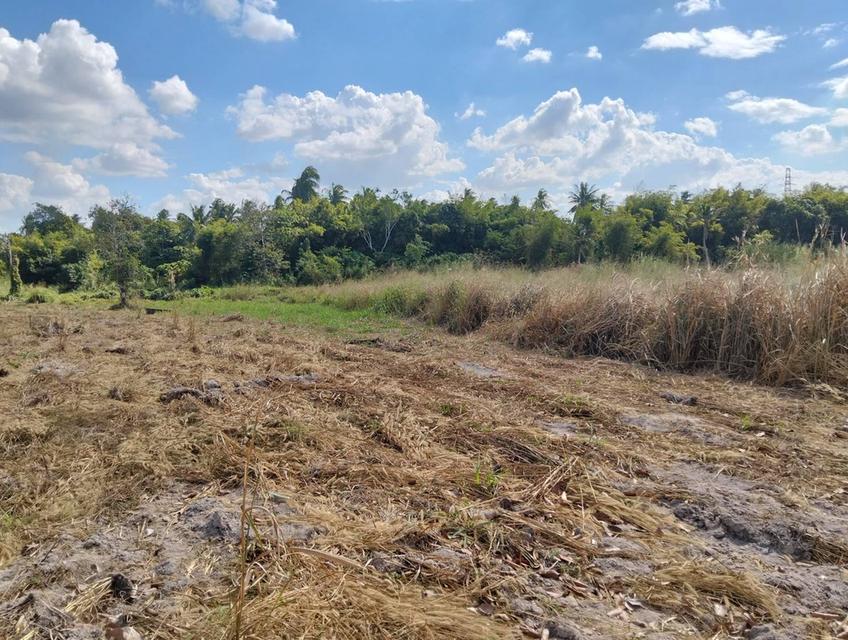 ขายที่ดิน 2 ไร่ บางพระ ใกล้มอเตอร์เวย์ ไม่ไกลจากเขาเขียว แบ่ง 1 ไร่ ได้ 4