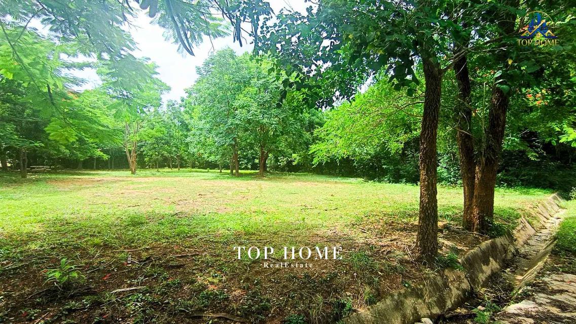 ขายด่วน! ที่ดินแปลงมุม วิวภูเขา | มวกเหล็กวัลเลย์ สระบุรี 🔥 🌿 แปลงสวย ถมแล้ว บรรยากาศดี เป็นส่วนตัว — พร้อมสร้างบ้านพักตากอากาศในฝัน 6