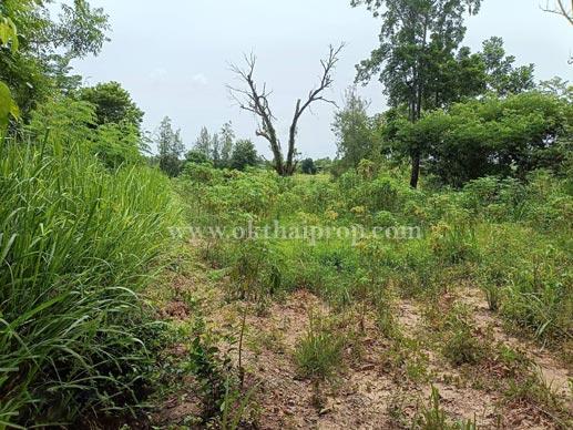 ที่ดิน ต.นาวังหิน อ.พนัสนิคม จ.ชลบุรี 3