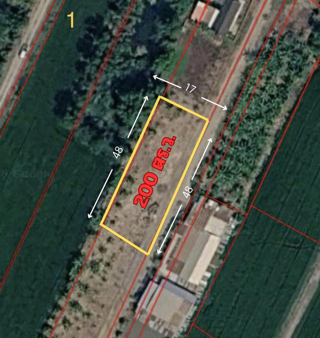 🏡 **ขายที่ดินจัดสรรแปลงสวย ถมแล้ว ต.บางเตย อ.สามโคก จ.ปทุมธานี 1