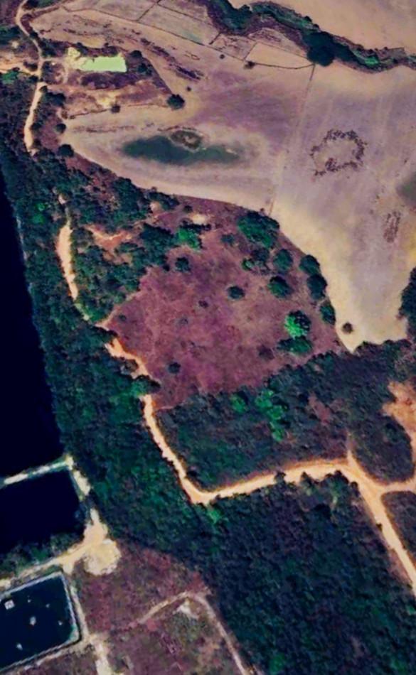 ขาย ที่ดินผังสีม่วง 42 ไร่ กบินทร์บุรี จ.ปราจีนบุรี ทำเลอุตสาหกรรม ติดทางสาธารณะ ใกล้โรงงานใหญ่ 2