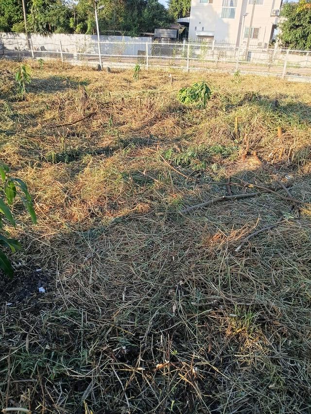 ที่ดินเปล่าหนองจอก กรุงเทพ 5