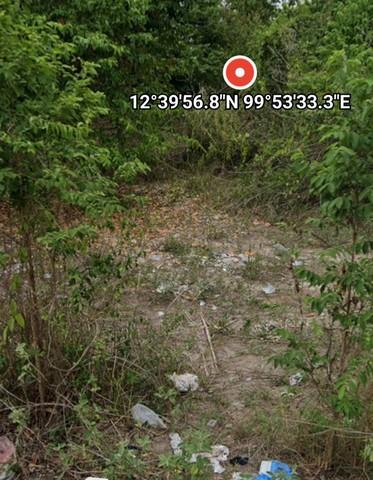 ขายที่ดิน 100 ตารางวา โครงการ หัวหิน-ชะอำ คันทรีฮิลล์ ตำบลสามพระยา อำเภอชะอำ จังหวัดเพชรบุรี 3