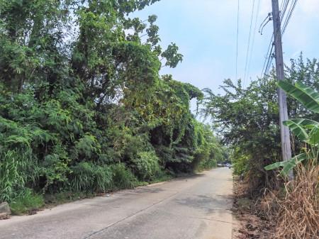 ขาย ที่ดิน FA035 ที่ดิน ราคาถูก ทำเลดี หมอนนาง พนัสนิคม ชลบุรี . 3200 ตรม 4 ไร่ กำแพงล้อมรอบ ห่างถนน 3284 เพียง 500 m 2