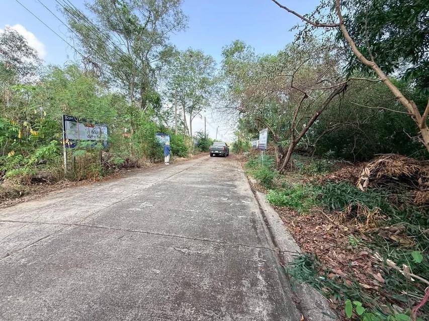 Vายที่ดิน 70 ตารางวา ติดถนนสาธารณะ ถมแล้ว หมู่บ้านสวนรีสอร์ท คลองห้าตะวันตก จ.ปทุมธานี 4
