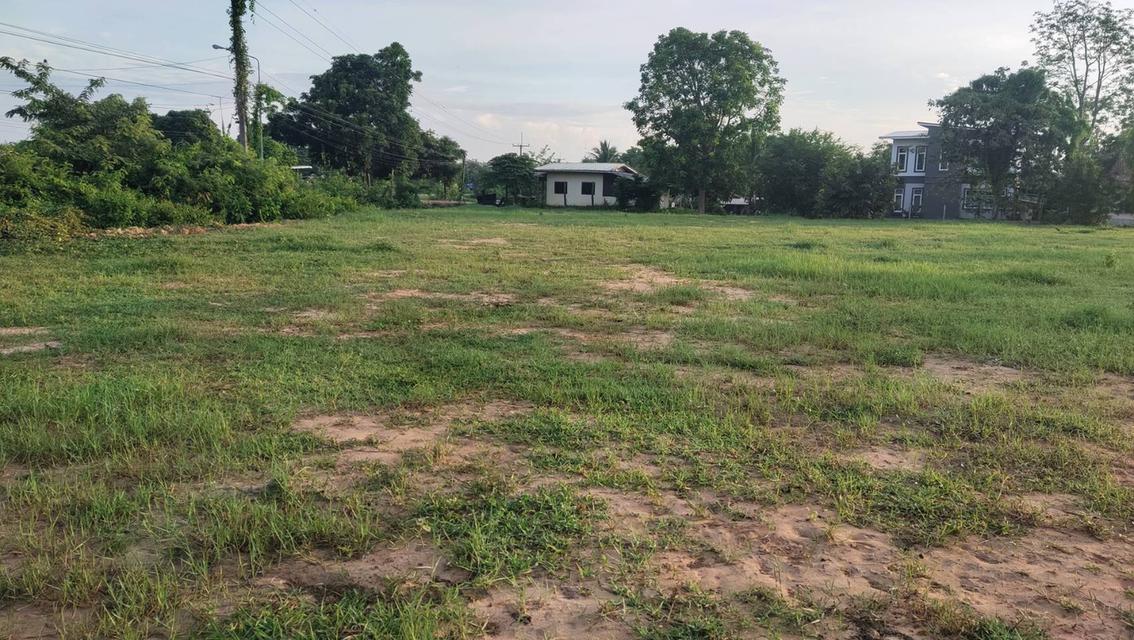 ที่ดินเปล่า 2 ไร่ 2 งาน 60 ตรว. ติดศูนย์ราชการอำเภอนามน จังหวัดกาฬสินธู์ 3
