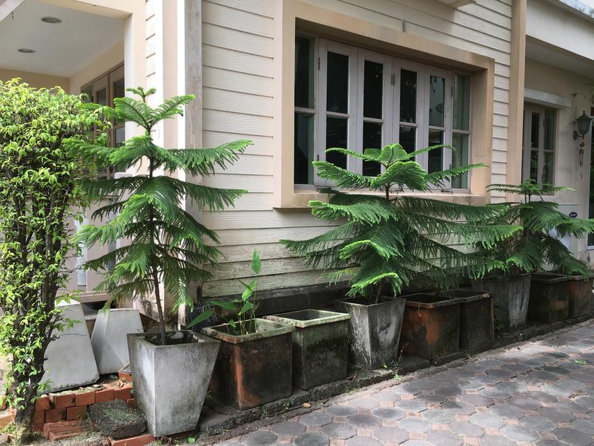 House Vararom lake view 4