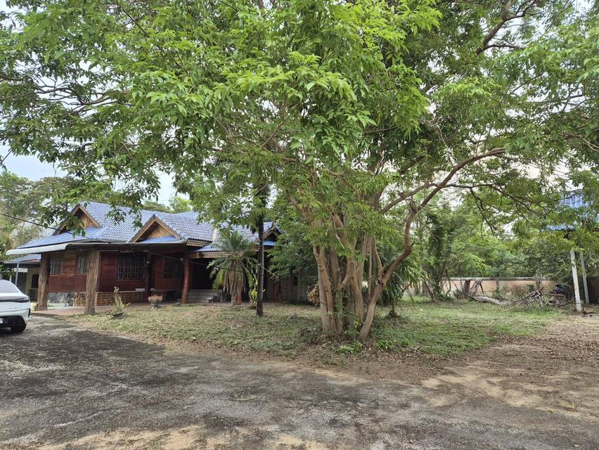 บ้าน บ้านเดี่ยวพร้อมที่ดิน 3