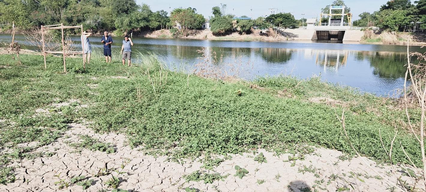 ที่ดินติดแม่น้ำป่าสัก 5