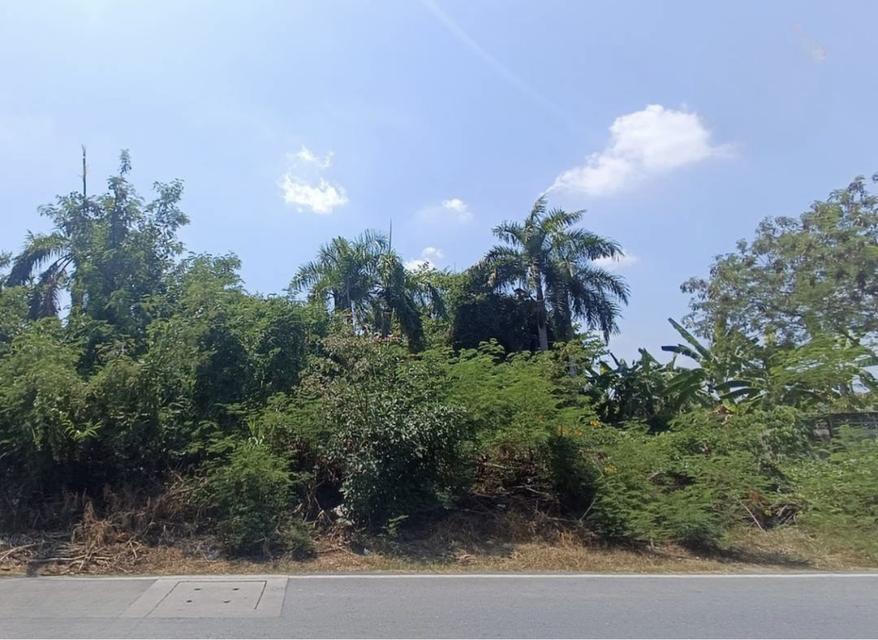 ที่ดิน อ้อมใหญ่ สามพราน นครปฐม 7