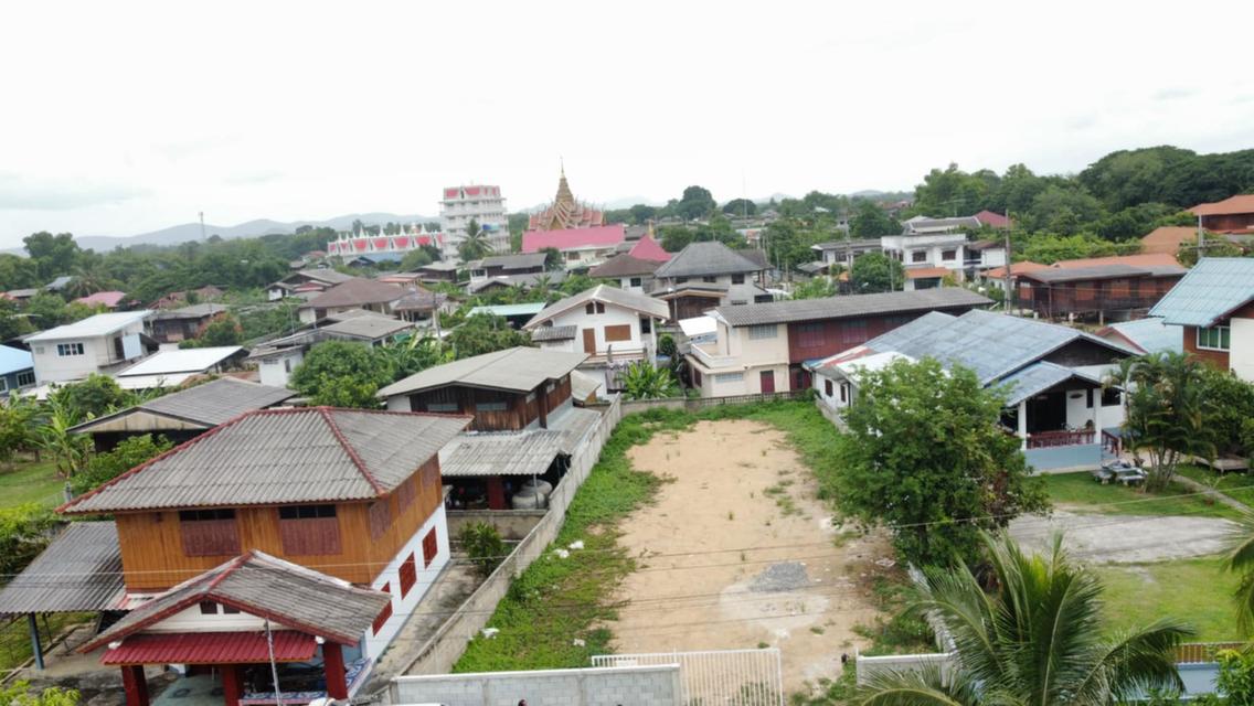 ที่ดิน 1
