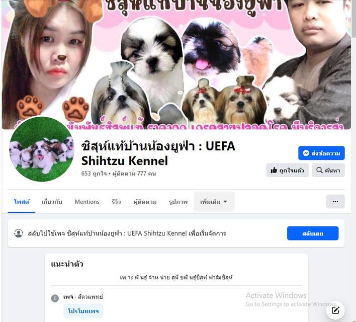 ชิสุห์เเท้ หญิงล้วน 5500 พร้อมย้าย 7