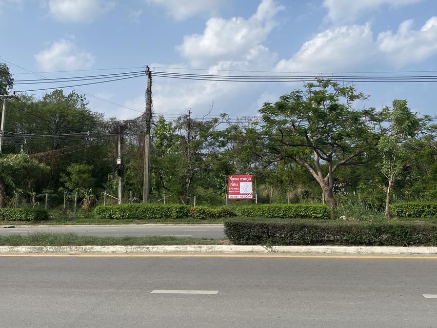 ที่ดินเชียงใหม่แปลงมุม ติดถนนพืชสวนโลก