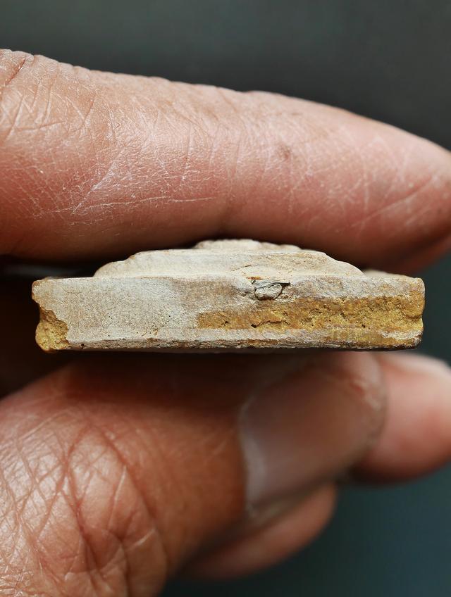 พระผงพิมพ์กลีบบัว หลวงปู่โต๊ะ วัดประดู่ฉิมพลี หลังยันต์ตรี พิมพ์ใหญ่ ปี 2521....เก่า เดิมๆ 10