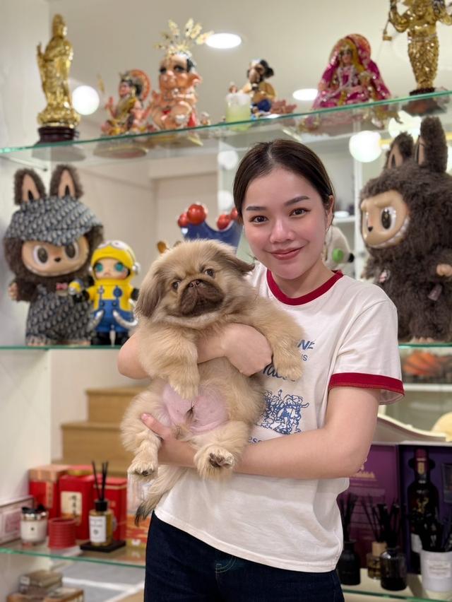 น้องปักกิ่ง