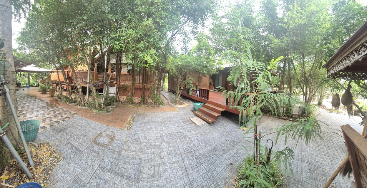 บ้านเดี่ยวพร้อมที่ดินร่มรื่นเป็นธรรมชาติ 5