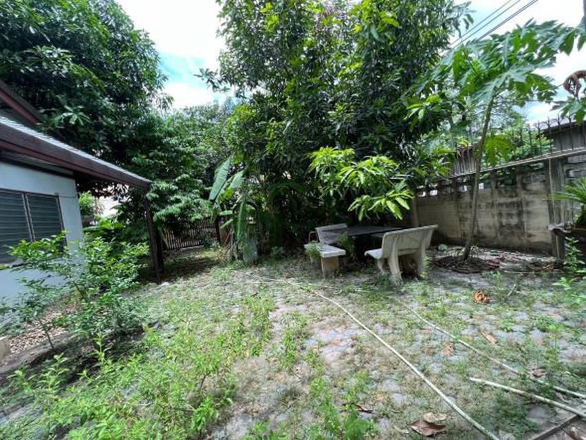 LA00127 ขาย ที่ดิน ซอยนวลจันทร์ 36 ถนนนวลจันทร์  5