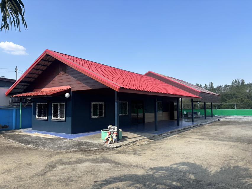 ขายบ้านเดี่ยวสภาพดี 200 ตารางวา อยู่ใกล้ตัวเมืองปากช่อง 1