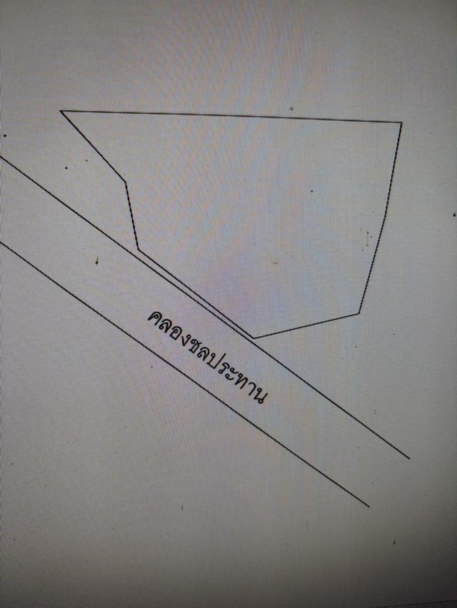 ที่ดินทำการเกษตร ไม่มีสิ่งปลูกสร้าง 5