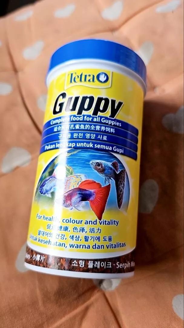 Tetra Guppy อาหารปลาชนิดแผ่น 1