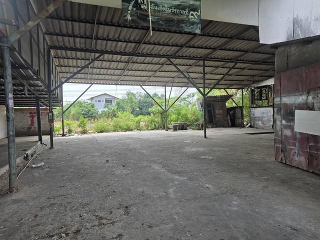ให้เช่าหรือขาย ที่ดินเปล่าพร้อม+โกดัง ในซอยประชาร่วมใจ 67 4