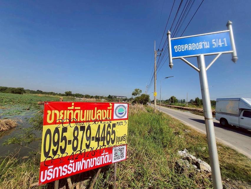 Vายที่ดินซอยวัดป่าห้าพระองค์ 200 ตารางวา แปลงมุม ติดถนนคลองเเอนคลองสาม 5/4-1 อ.คลองหลวง จ.ปทุมธานี 2