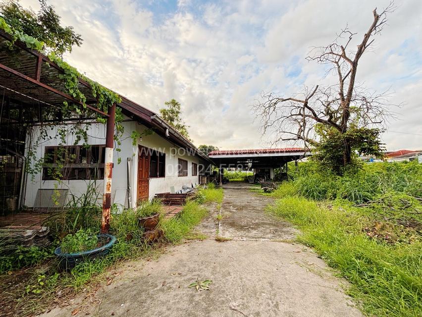 ที่ดิน พร้อมบ้านเดี่ยวทรงไทย 2 ชั้น พหลโยธิน 64 กม.27 ต.คูคต อ.ลำลูกกา จ.ปทุมธานี 18