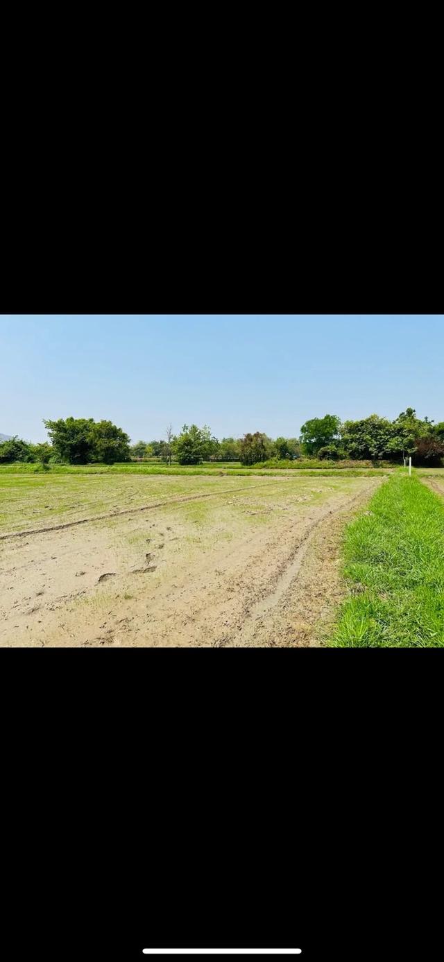 ขายที่ดิน เนื้อที่ 4ไร่ ต.เกาะพลับพลา อ.เมือง จ.ราชบุรี 10