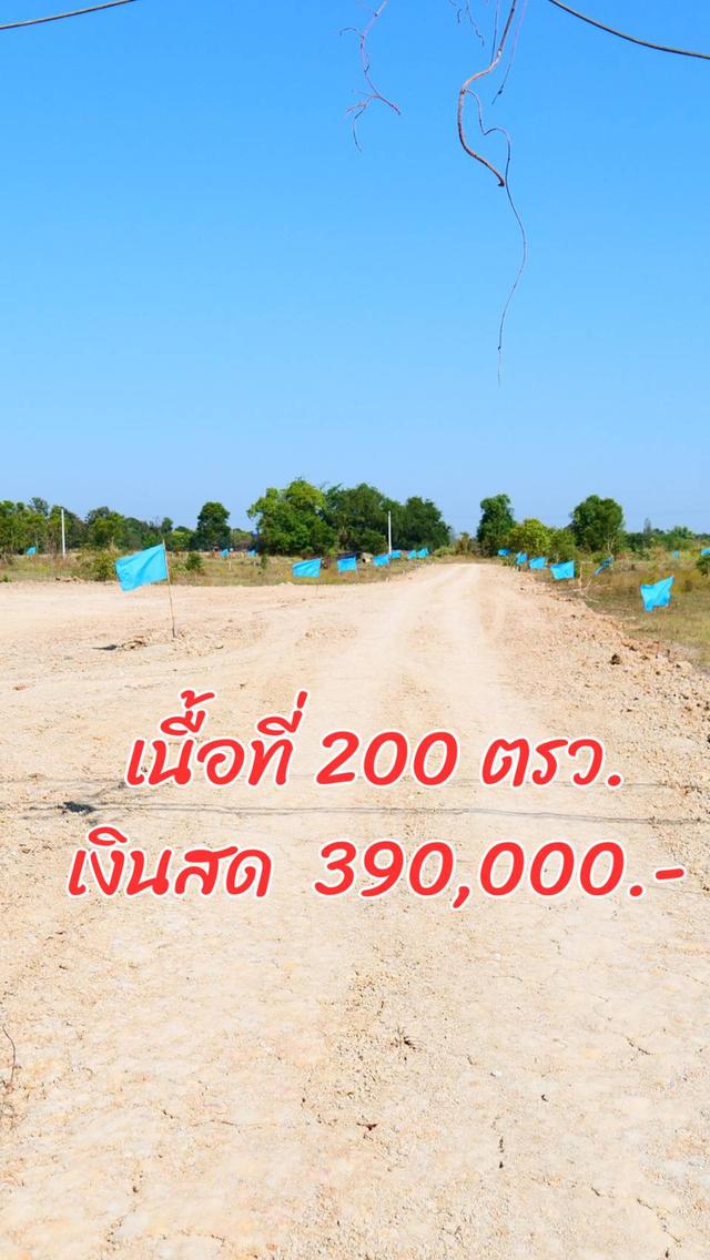 ขายที่ดินสุพรรณบุรี ราคาถูก ถมแล้ว ติดถนนเส้นหลักกรุงเทพ-ด่านช้าง ทำเลดี น้ำไม่ท่วม เหมาะสร้างบ้านหรือทำธุรกิจ อ. หนองหญ้าไทร ใกล้กรุงเทพ 2 ชั่วโมง 15