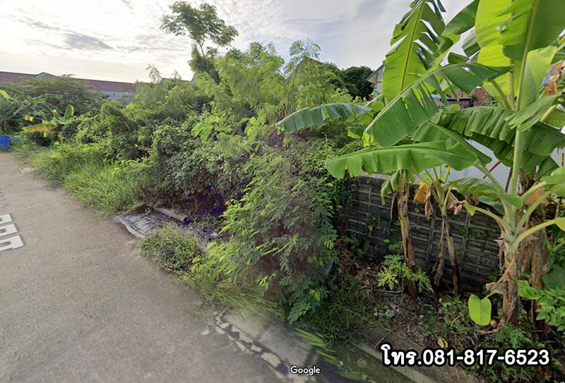 ขายที่ดินเปล่า ซอยร่วมสุข 3  ลำลูกกา  ห่างจากปากซอยประมาณ 780 เมตร 1