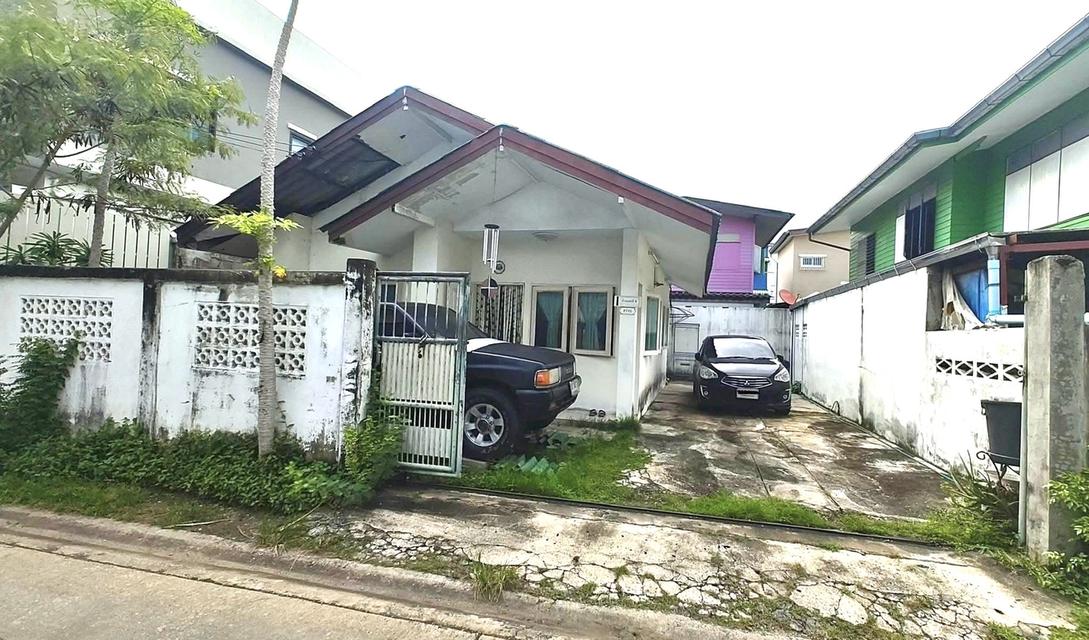 ขายที่ดินพร้อมสิ่งปลูกสร้างบ้านลาดพร้าวโชคชัยสี่ซอยสังคมสงเคราะห์ 30 39 ตารางวา 3