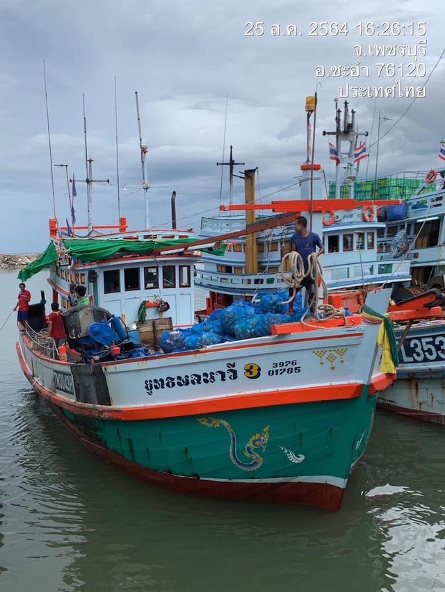 ขายเรือประมง เรือลอบหมึกสาย  4