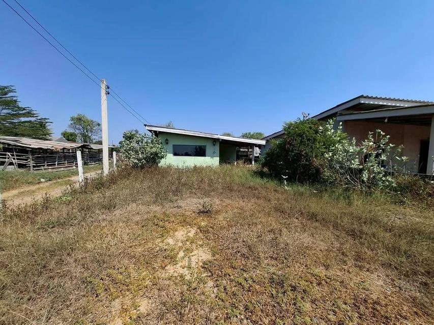 ขายด่วน  ทีดิน 50 ตารางวา "ติดถนนคอนกรีตสาธารณะ "ต.รางพิกุล อ.กำแพงแสน จ.นครปฐม 3