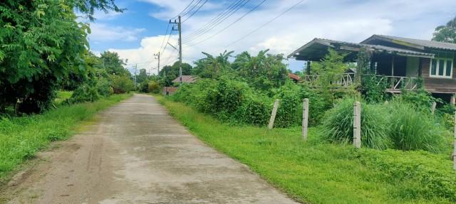 ขายที่ดินสวยทำเลทอง อำเภอพาน เชียงราย เหมาะสร้างบ้านพักผ่อน 2
