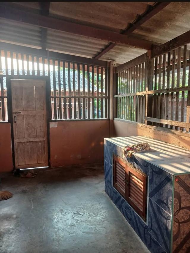 ขายถูกที่สุดบ้านสวนมี3หลังพร้อมที่ดิน295.5ตรว.โฉนดครุฑแดง ราคาถูกที่สุด1.35ล้าน โฉนดครุฑเเดง มีต้นไม้ผล 7