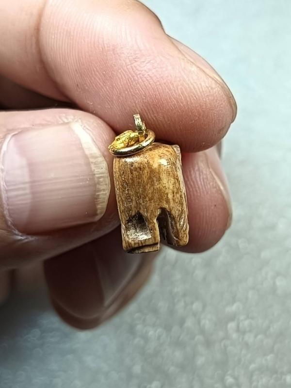 ช้างกระดูกแกะ หลวงพ่อพยุง วัดบัลลังก์ อ.หนองหญ้าไซ จ.สุพรรณบุรี ครับ 4