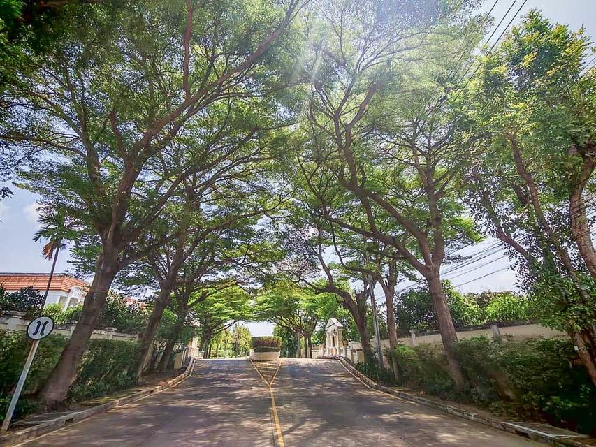 ให้เช่า ทาวน์โฮม3ชั้น urban sathorn หลังมุม สาทร - BTS บางหว้า รูปที่ 18