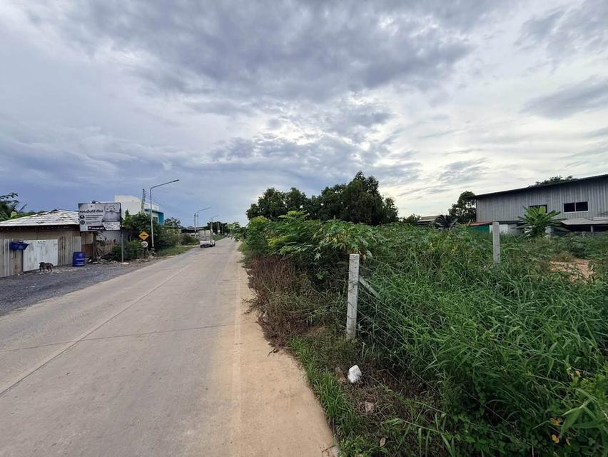 ขายด่วนที่ดินคลองสอง 363 ตรว ติดถนนคอนกรีต ซ.บงกช 69 อ.คลองหลวง จ.ปทุมธา 12