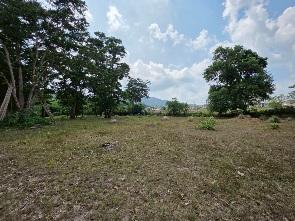 Land for Sale in kathu Phuket 9