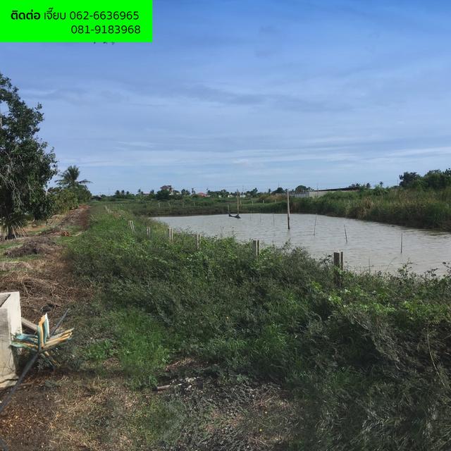 ที่ดิน 5 ไร่ ย่านลาดกระบัง - สุวรรณภูมิ 2