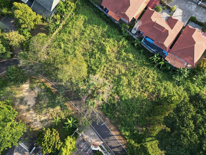 ขายที่ดินโซนด้านหลังโรงเรียนวารีเชียงใหม่ เดินทางสะดวก เข้า-ออกได้หลายทาง บรรยากาศร่มรื่น เงียบสงบ เพียงตารางวาละ 24,725 บาท 9
