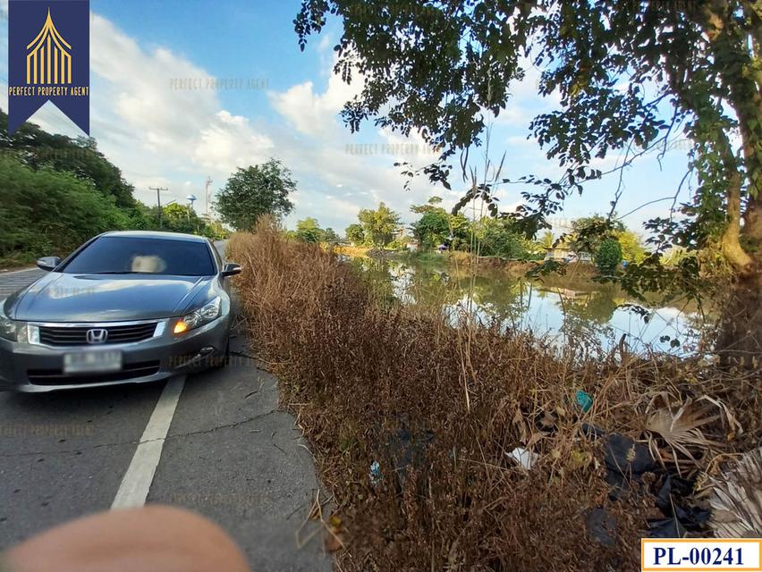 ขายที่ดิน หนองเสือ ทำเลดี จังหวัดปทุมธานี 6