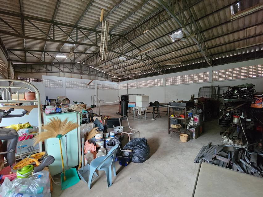 ขายด่วน !!! ที่ดินพร้อมสิ่งปลูกสร้าง อ.เมือง จ.สุราษฎร์ธานี 6