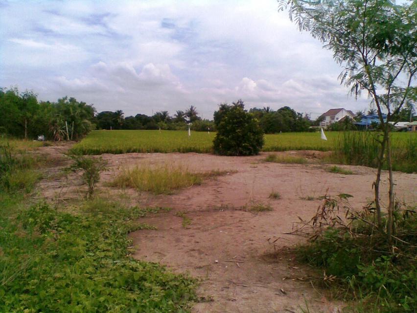 ขายที่ดิน 72 ตารางวา ในซอยวัดลาดปลาดุก