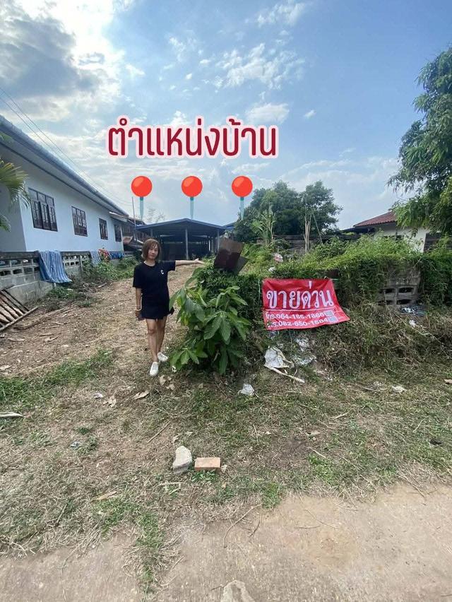 ที่ดินพร้อมโครงสร้างบ้าน 2 หลังบ้านหลักศิลาตำบลพระกลางทุ่งอำเภอธาตุพนมจังหวัดนครพนม 3